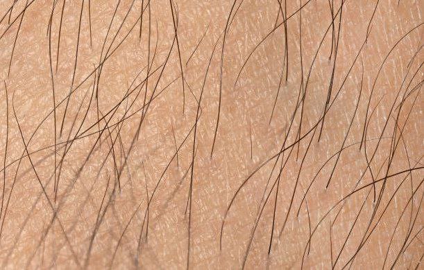 Why do we have hair in such random places&nbsp;❓